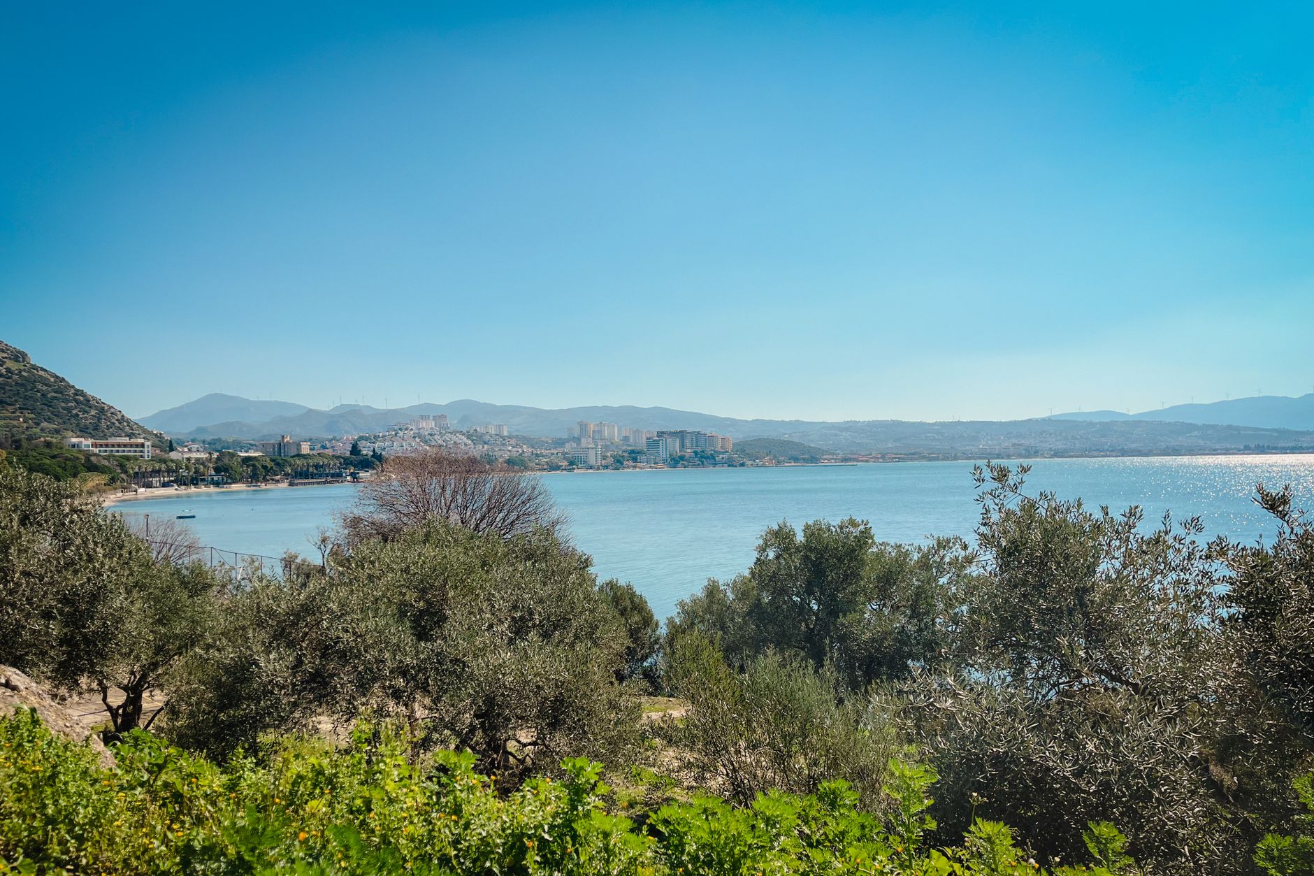 Ege zeytinlikleri ve deniz manzarası